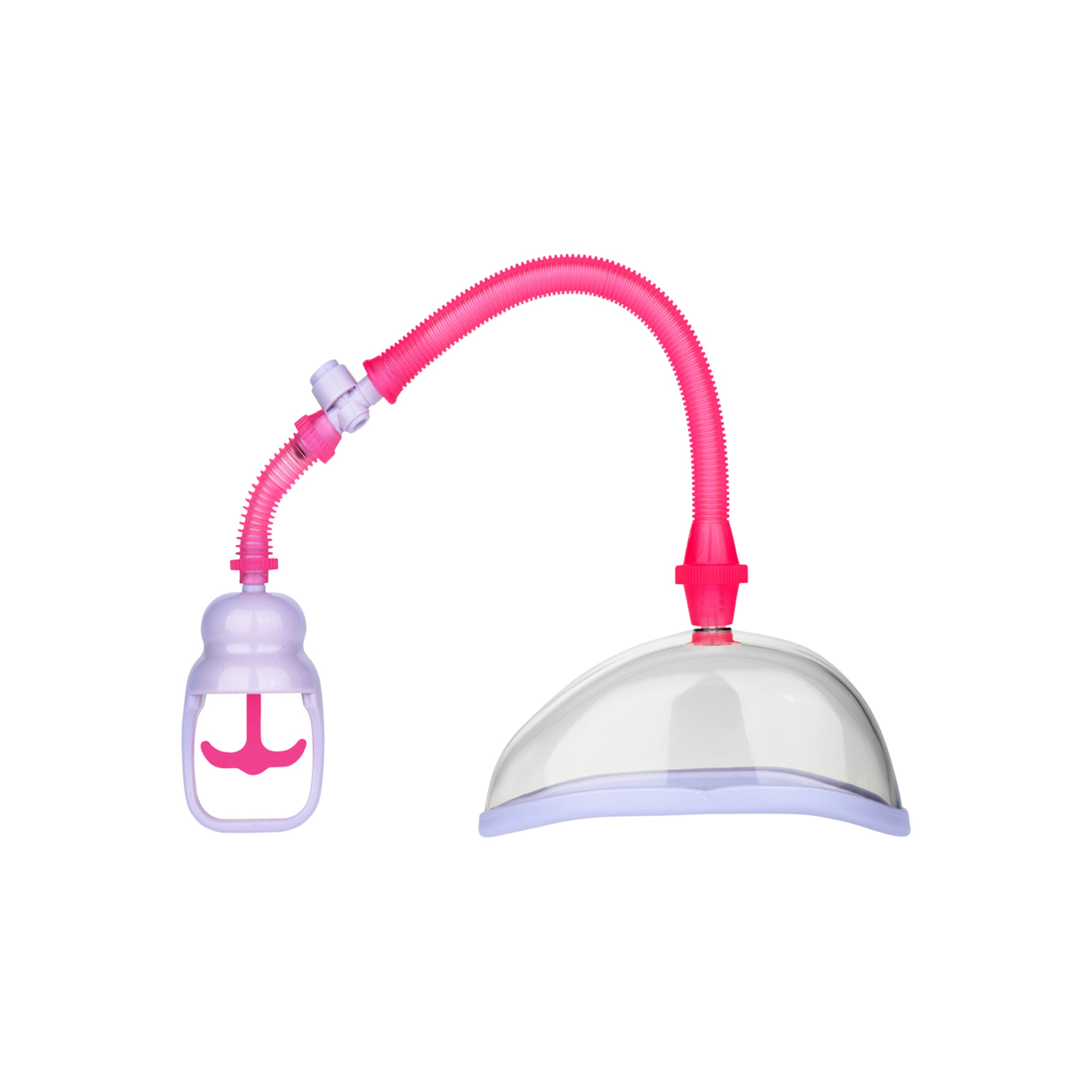 vagina-cup-Rose-Transparent-Violet-2