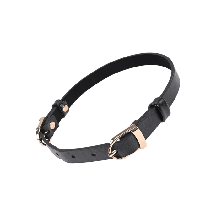 sex-and-mischief---double-buckle-day-collar-Zwart-1