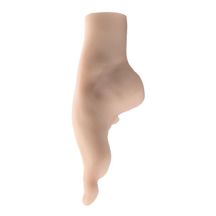 pussy-footin-23-cm-Natuurlijk licht-2