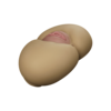 Naturel moyen