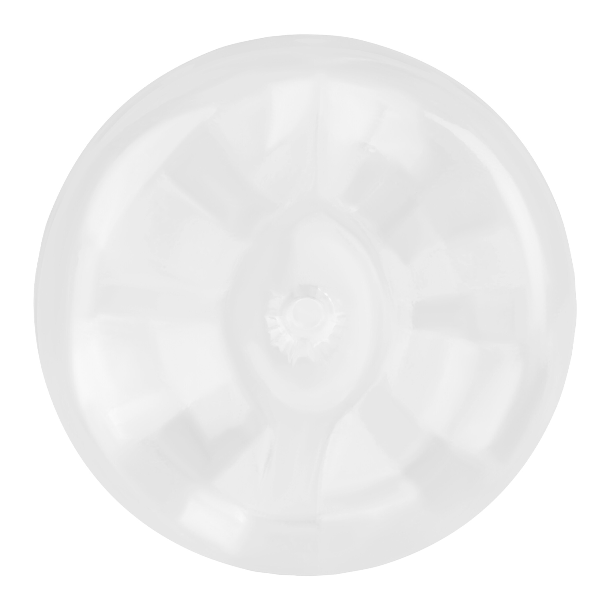 masturbator-met-anale-opening-25-cm-Transparant-2