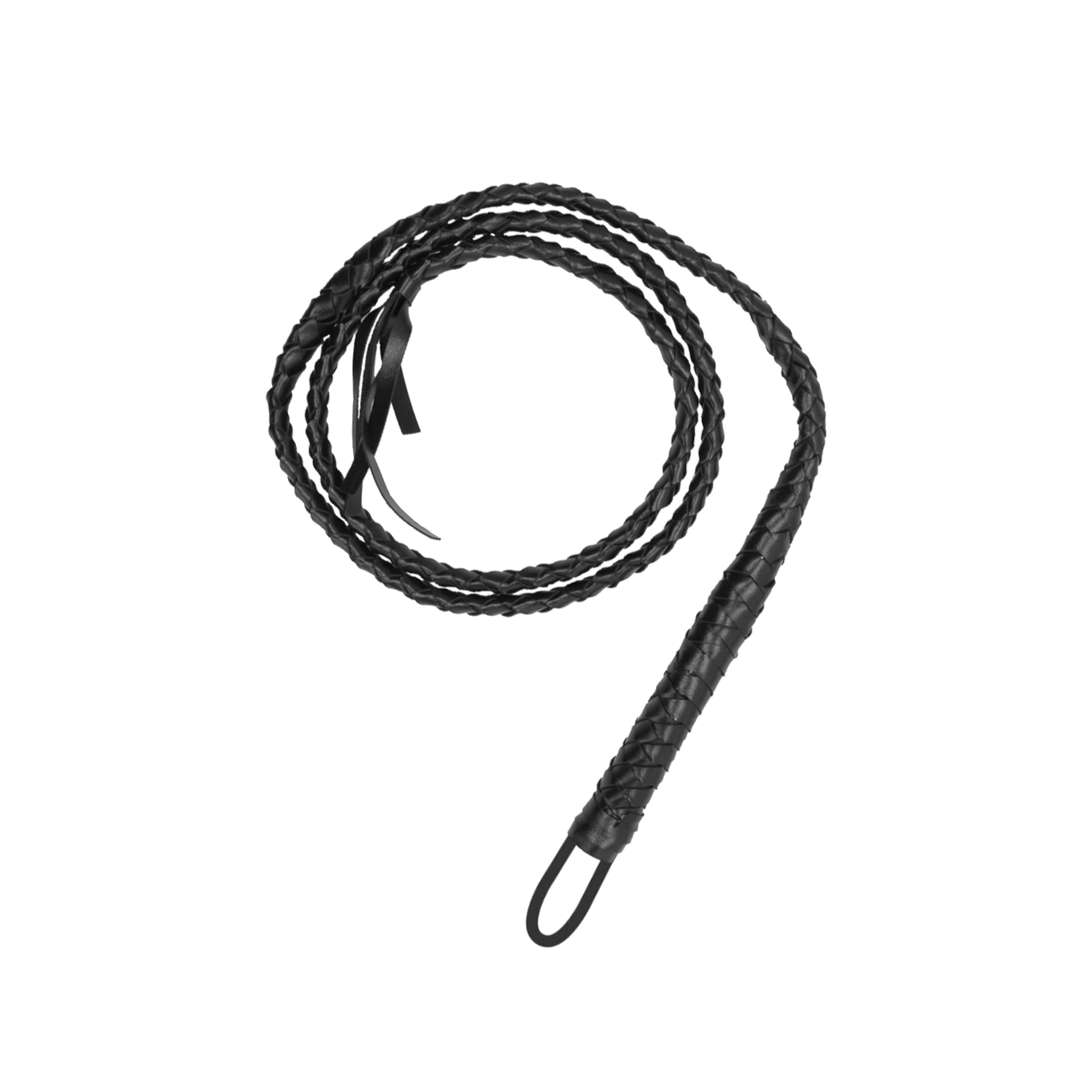 twisted-whip-Schwarz-1