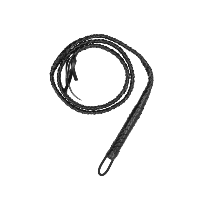 twisted-whip-Schwarz-1