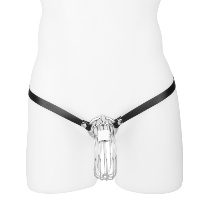 peniskooi-met-riem-en-slot-Schwarz-Silber-4