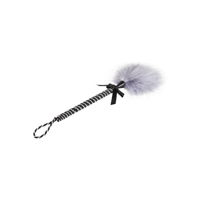 éveilleur-de-plumes-élégant-Blanc-Noir-Violet-1