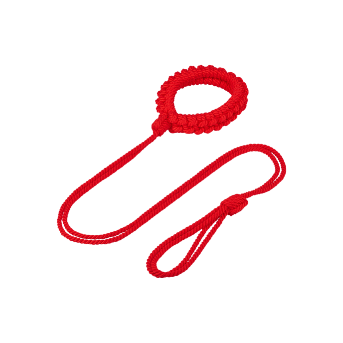 halsband-inclusief-riem-Rood-4