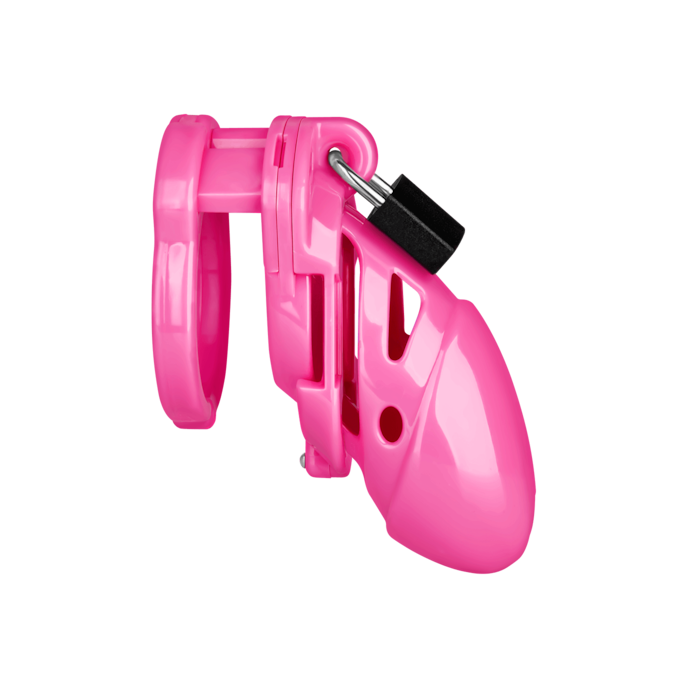 chastity-plus-Rose-2