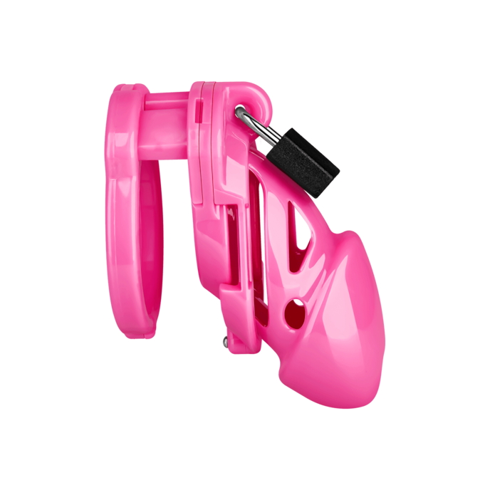 chastity-standard-Rose-2