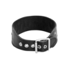 breites-leder-halsband-mit-flachnieten-Schwarz-Silber-2
