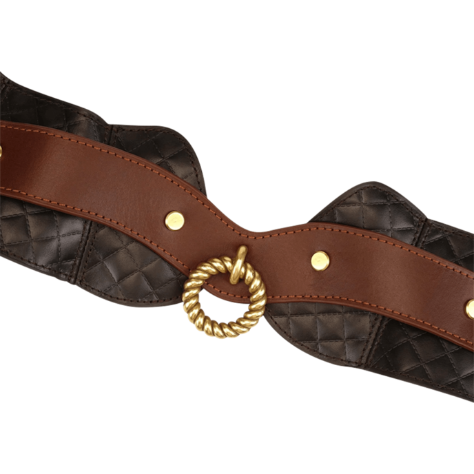 collier-en-cuir-avec-laisse-Brun-Noir-Or-2