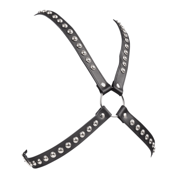 harnais-en-cuir-avec-clous-Argent-Noir-1