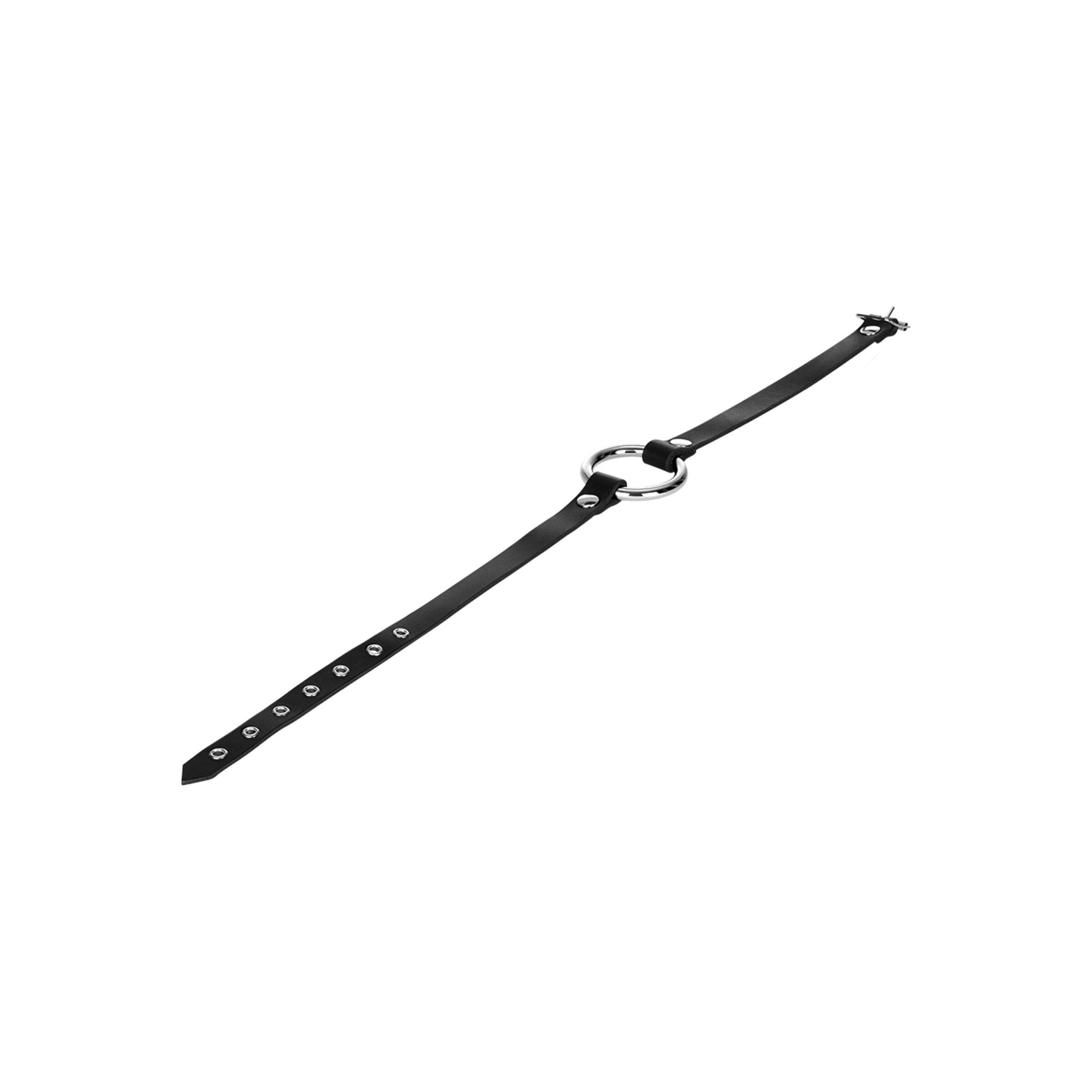 bâillon-avec-o[nbhy]anneau-Argent-Noir-5