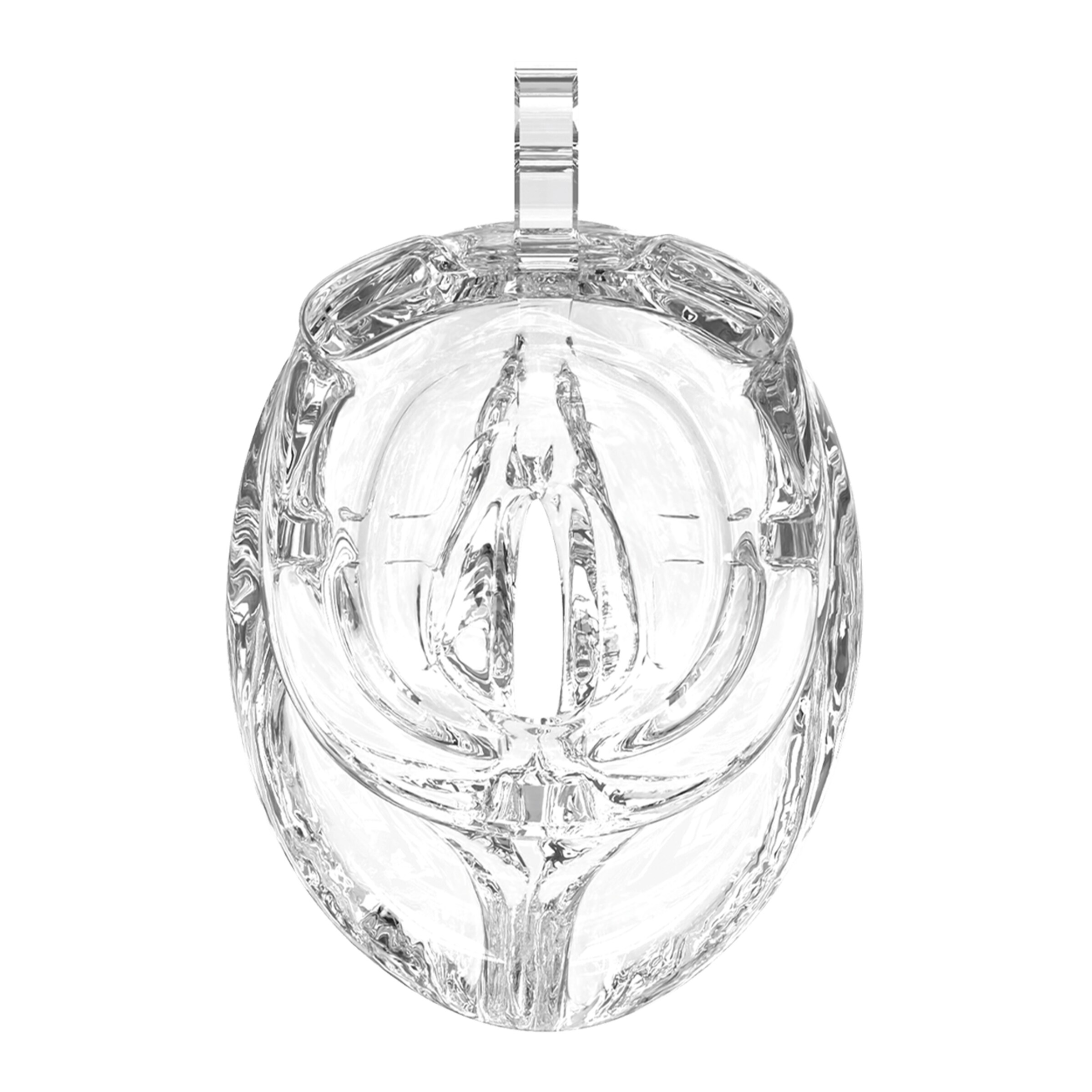 p-cage---pc10-pussy-8-cm-Transparent-4