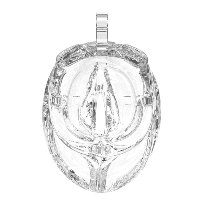 p-cage---pc10-pussy-8-cm-Transparent-4