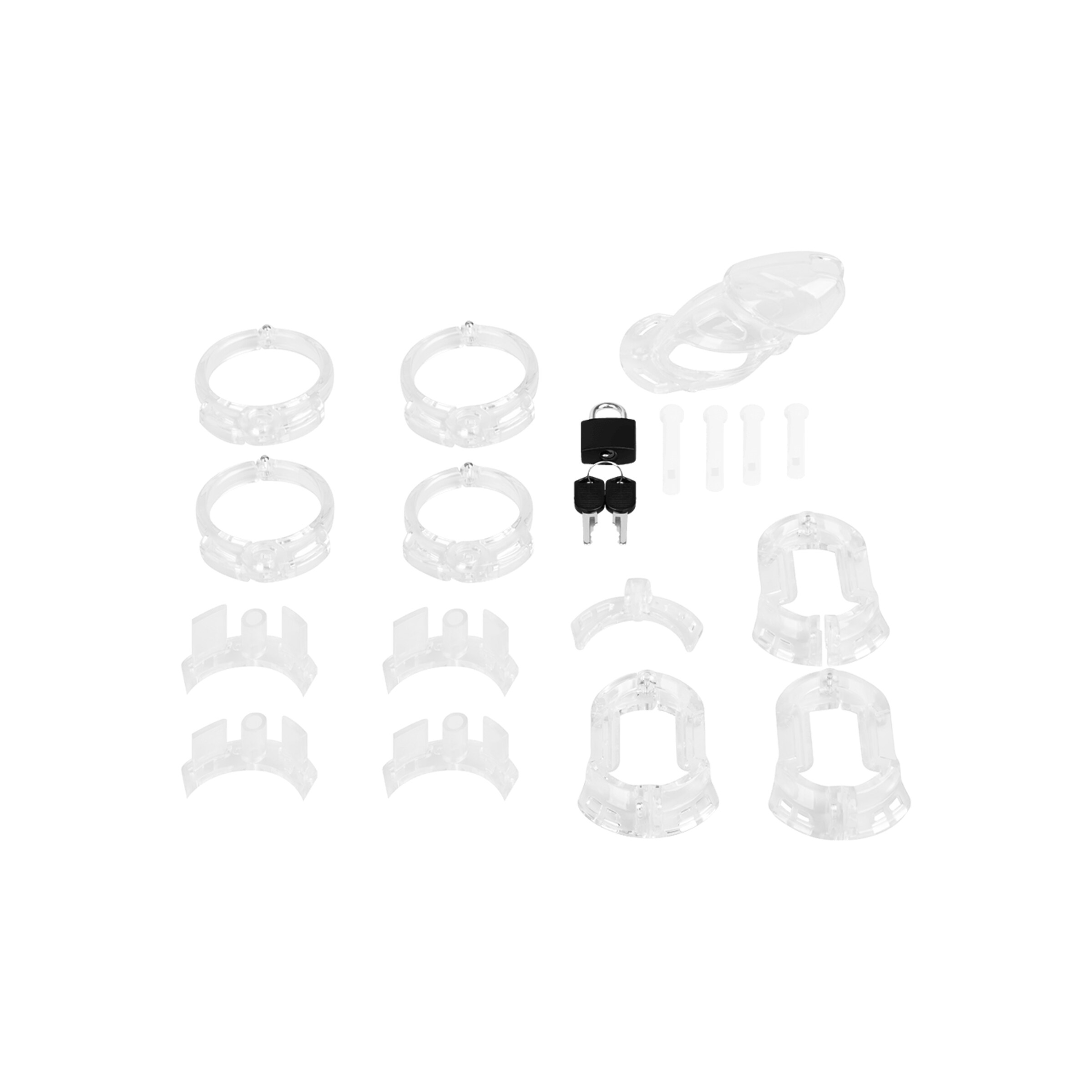 chastity-standard-Transparent-3