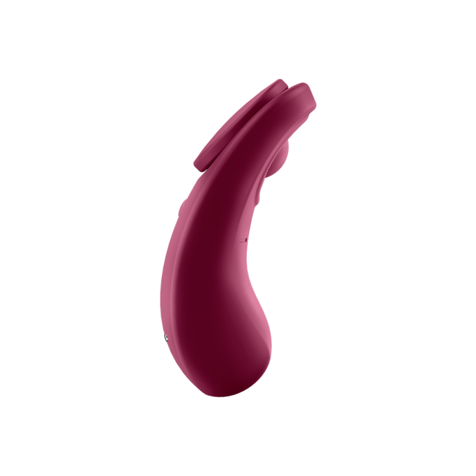 satisfyer-sexy-secret-connect-app-8-5-cm-Bordeaux-5