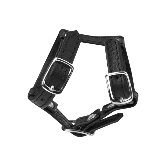 penis--en-hodengurt-van-leer-Zwart-4