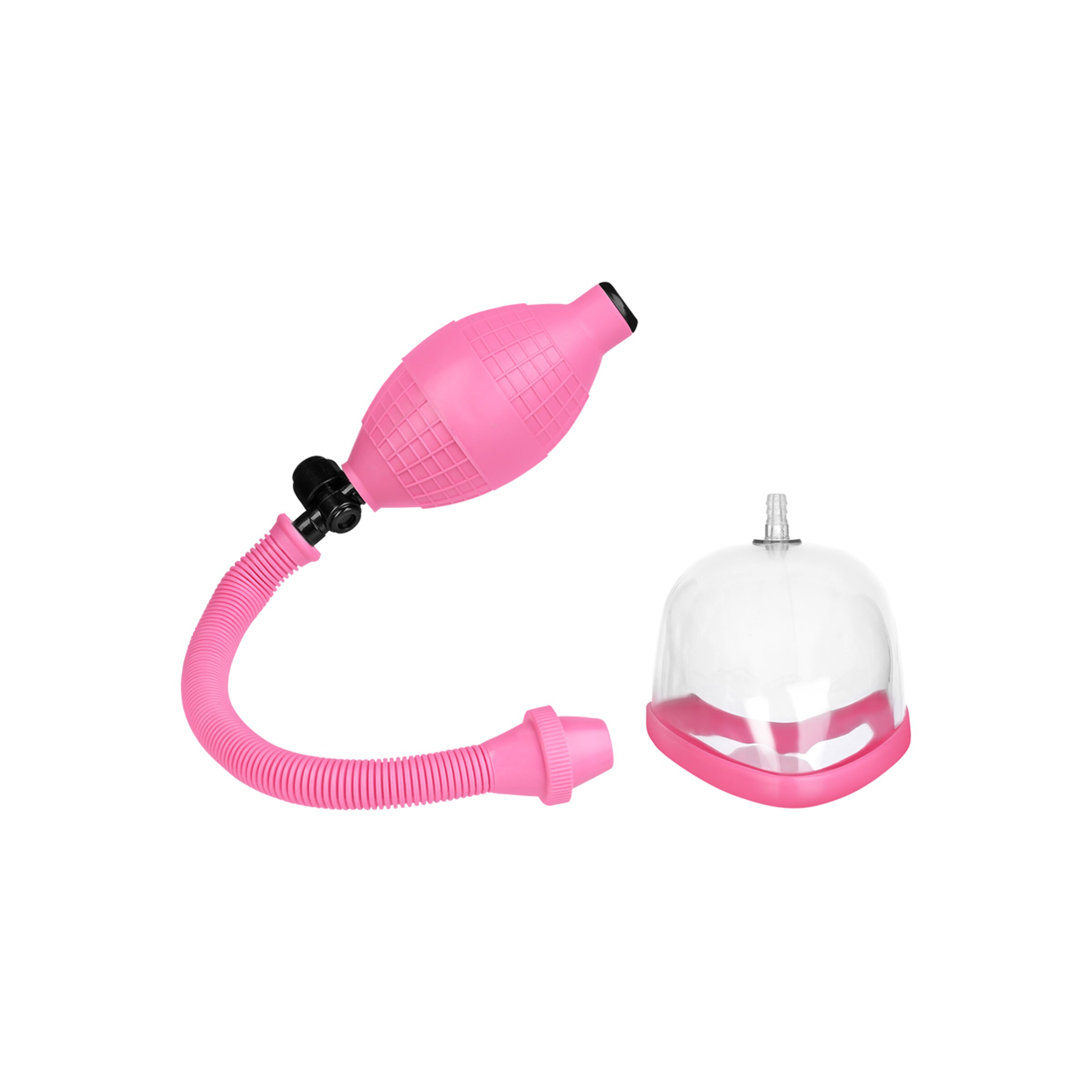 pussy-Rose-Transparent-4