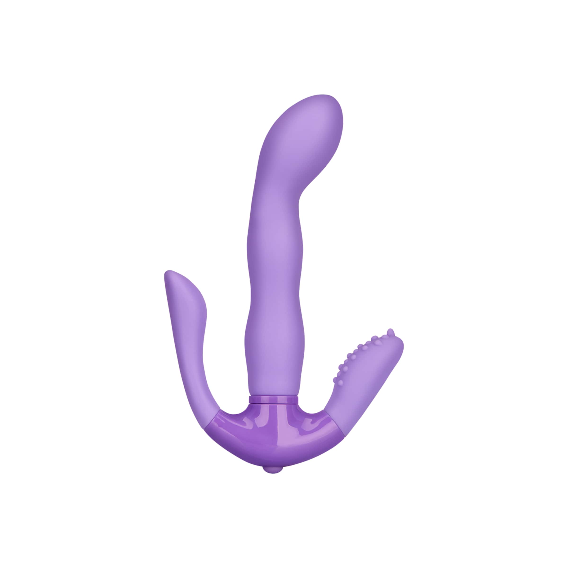 proposition-g-17-cm-Paars-2