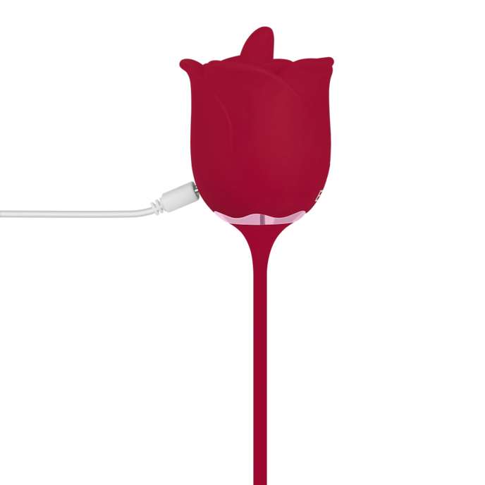 roosvormige-oplegvibrator-met-bullet-20-cm-Oranje-8