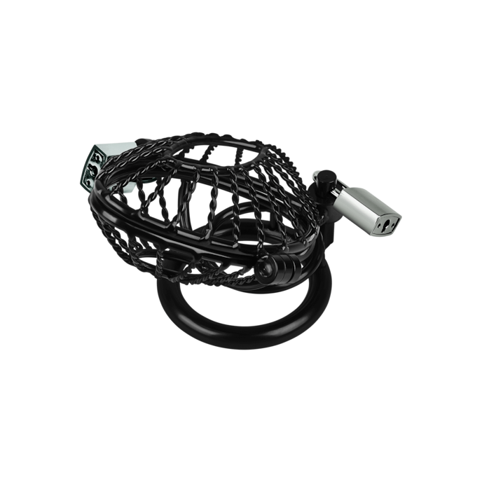 peniskooi-met-2-sloten-10-cm-Schwarz-6