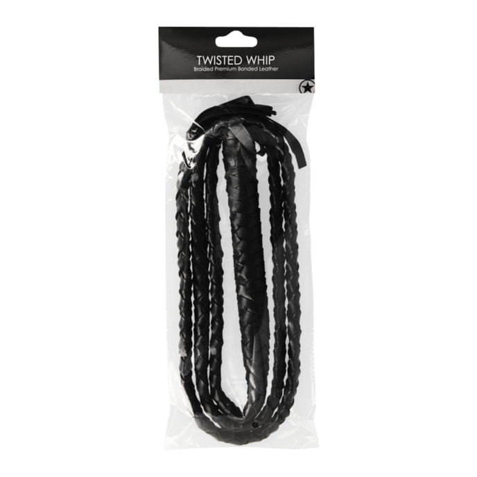 twisted-whip-Schwarz-2