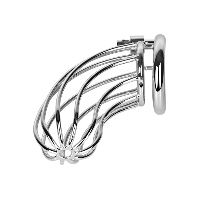 metalen-peniskooi-inclusief-slot-12-5-cm-Zilver-6