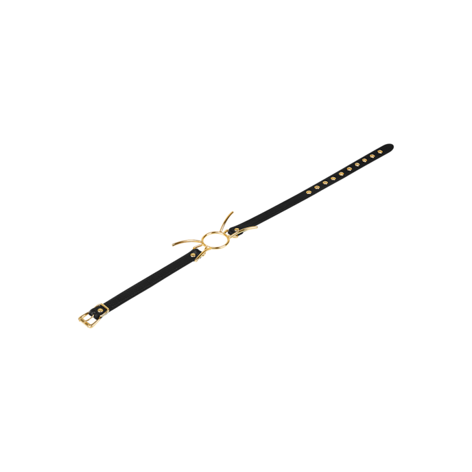 bâillon-avec-écarteur-de-bouche-Noir-Or-4