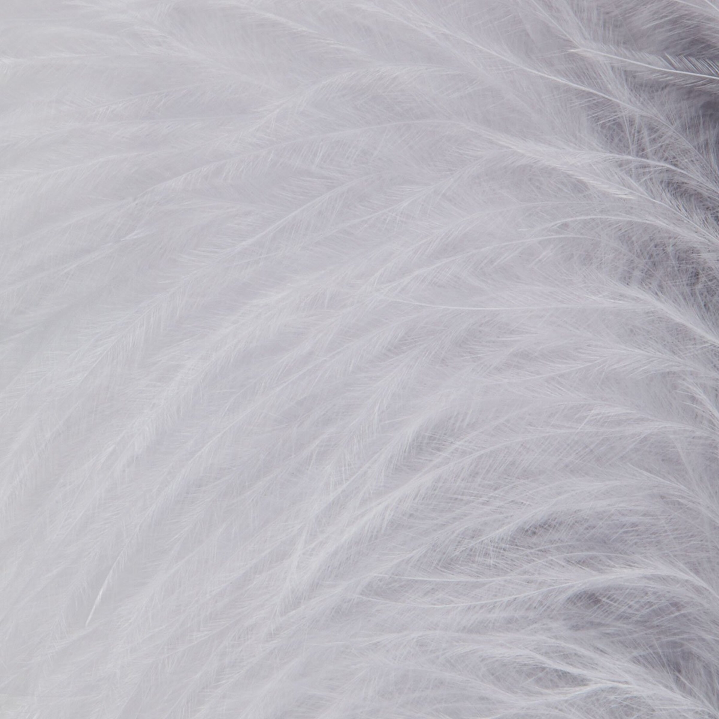 éveilleur-de-plumes-délicat-Argent-Blanc-4