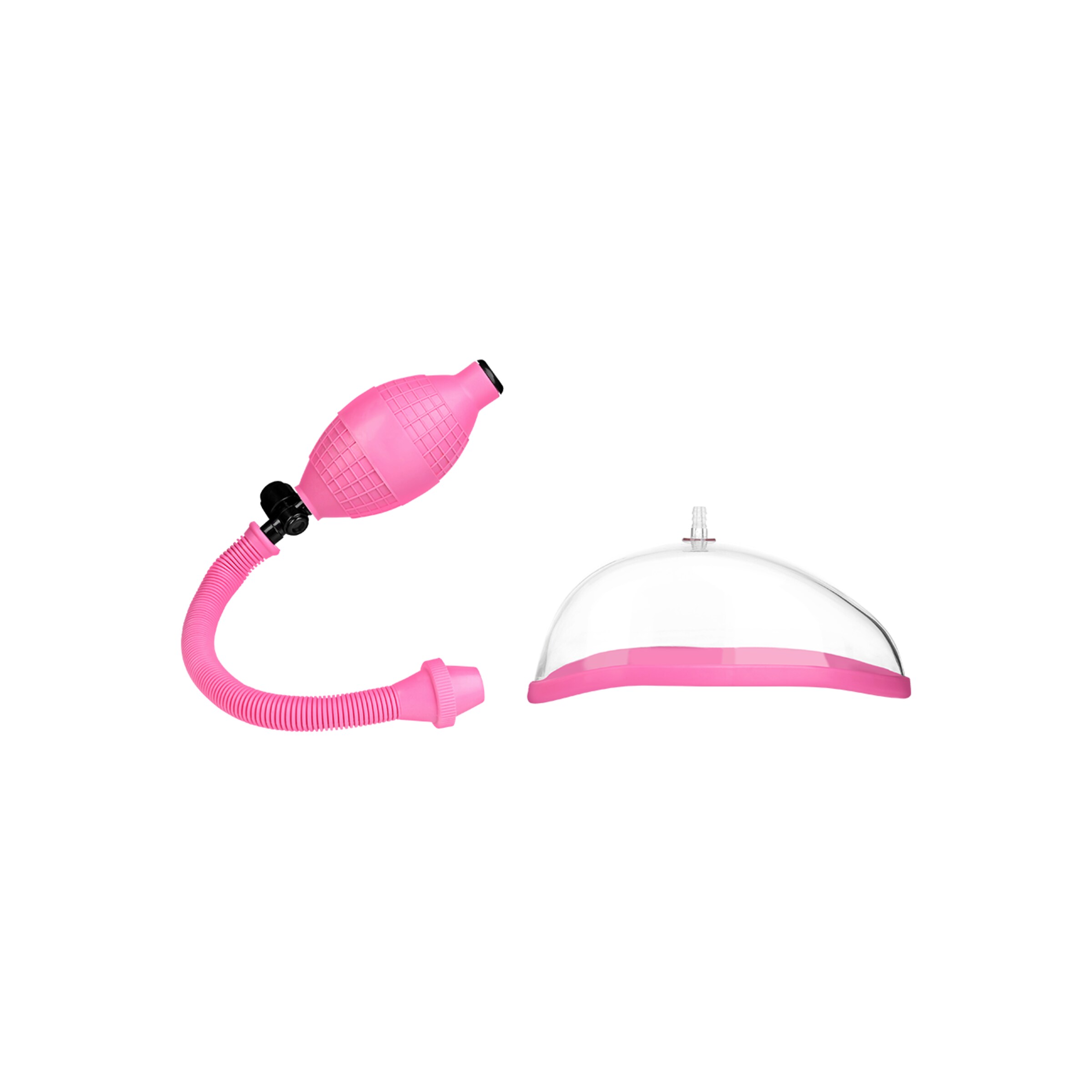 pussy-Rose-Transparent-2