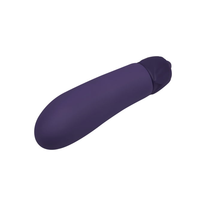 aubergine-minivibrator-12-cm-Lila-7