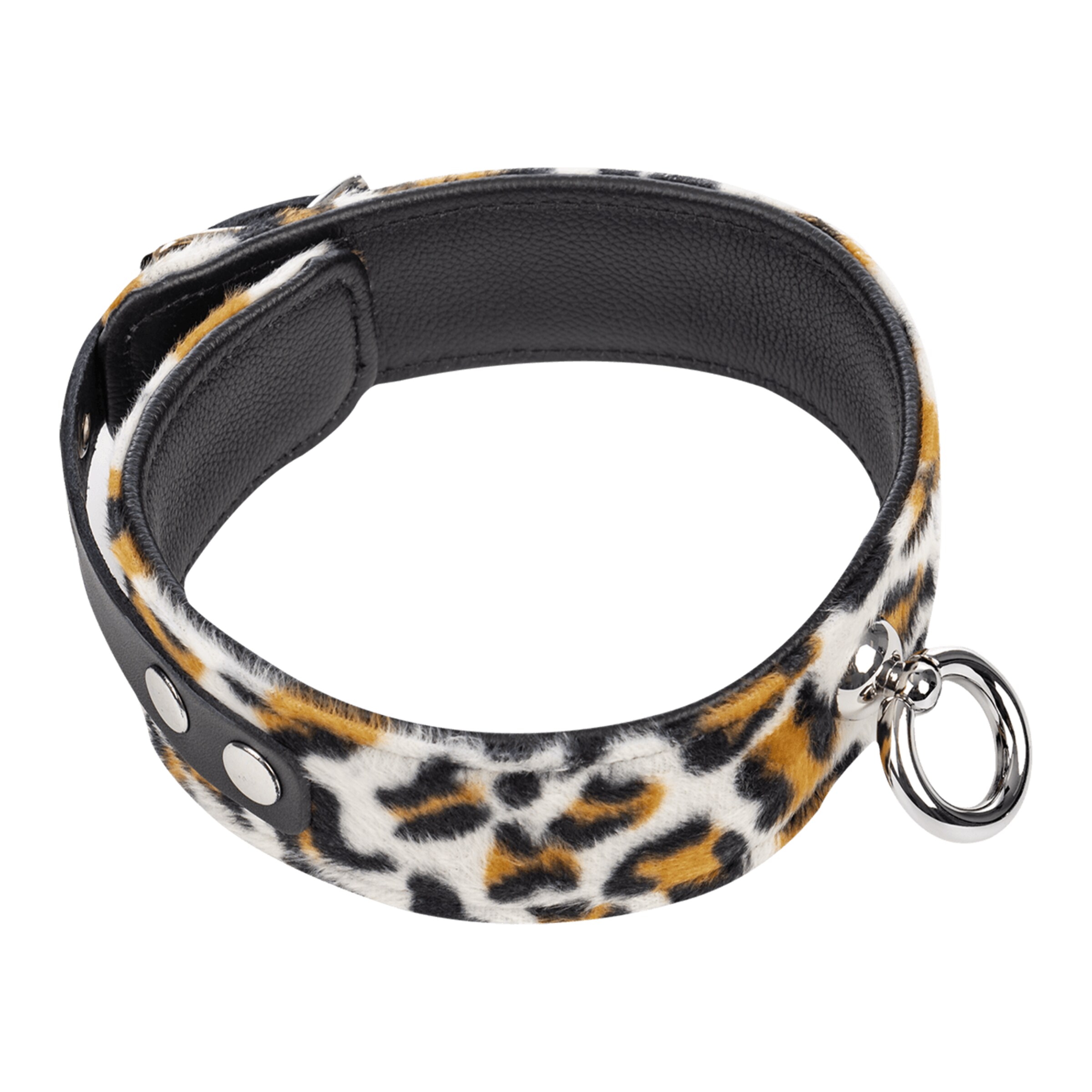 leren-halsband-met-o-ring-Luipaard-3