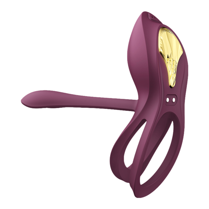 bayek-3-2-cm-Bordeaux-Or-2