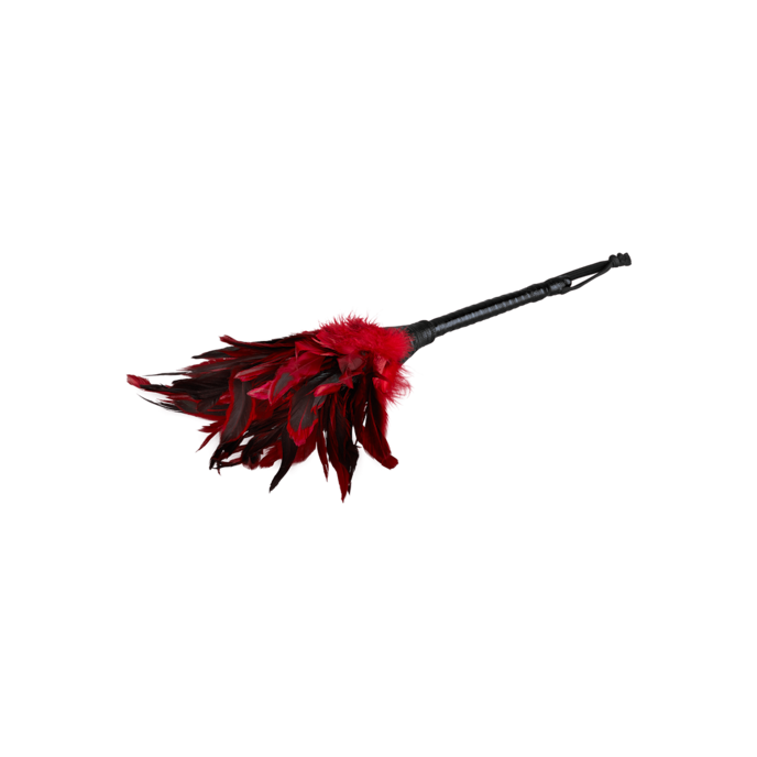frisky-feather-duster-Schwarz-Zilver-2