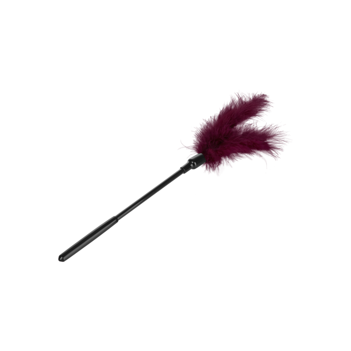 small-feather-tickler-Lila-Schwarz-1