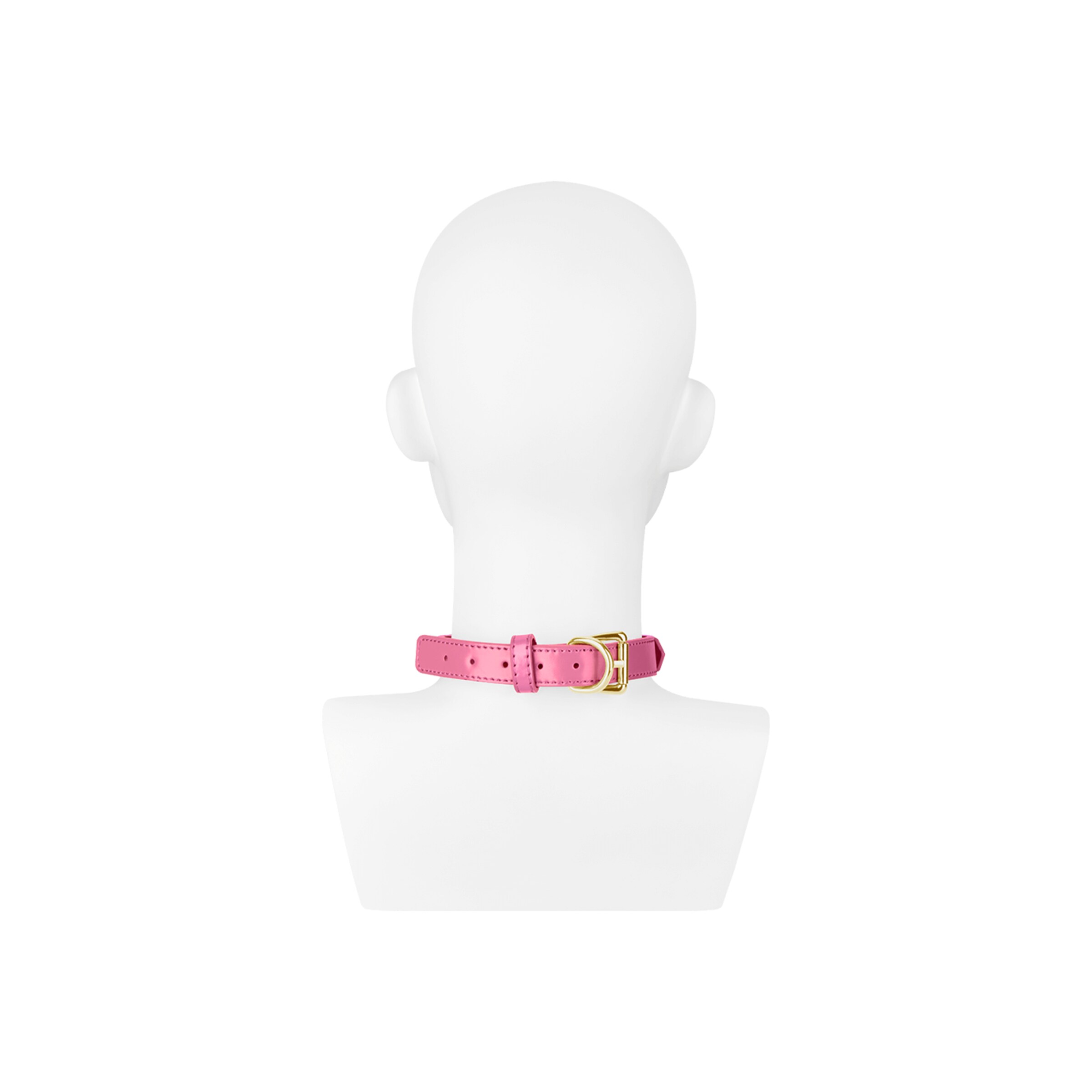 slave[nbhy]halsband-in-leerlook-Goud-Pink-3