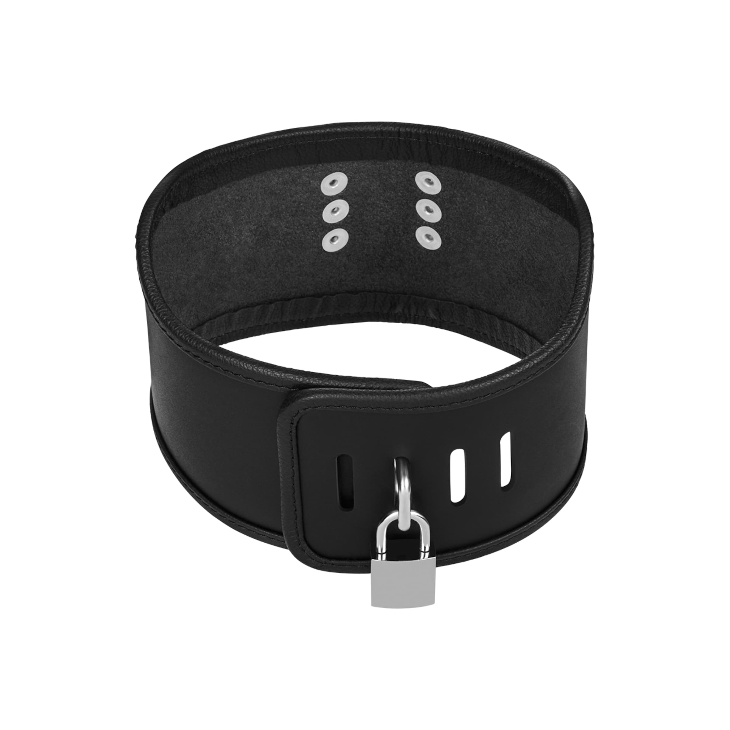 gepolstertes-halsband-mit-d[nbhy]ring-Schwarz-5