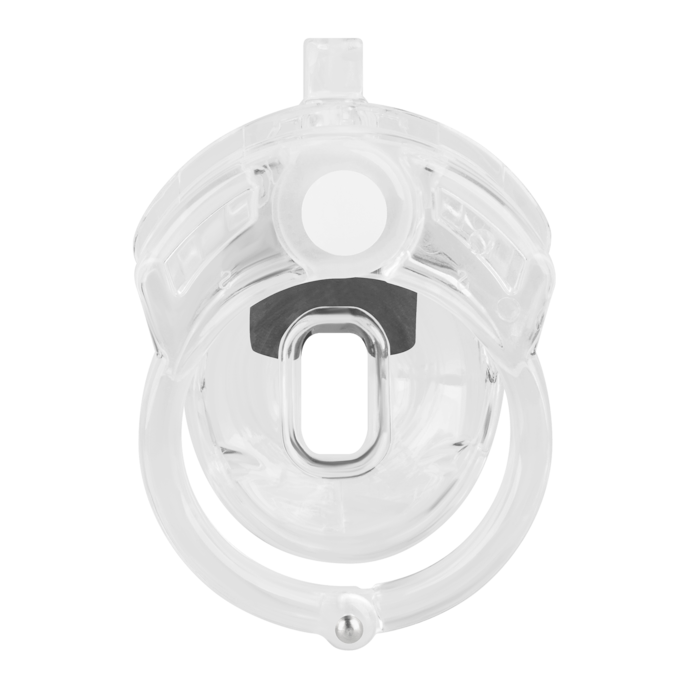 chastity-clitty-Transparent-4