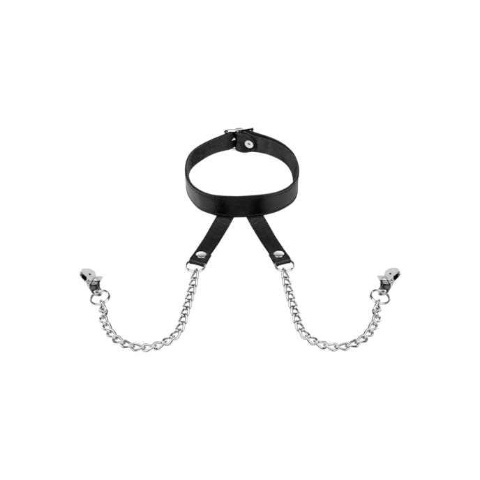 tepelklemmen-met-halsband-Schwarz-Silber-1