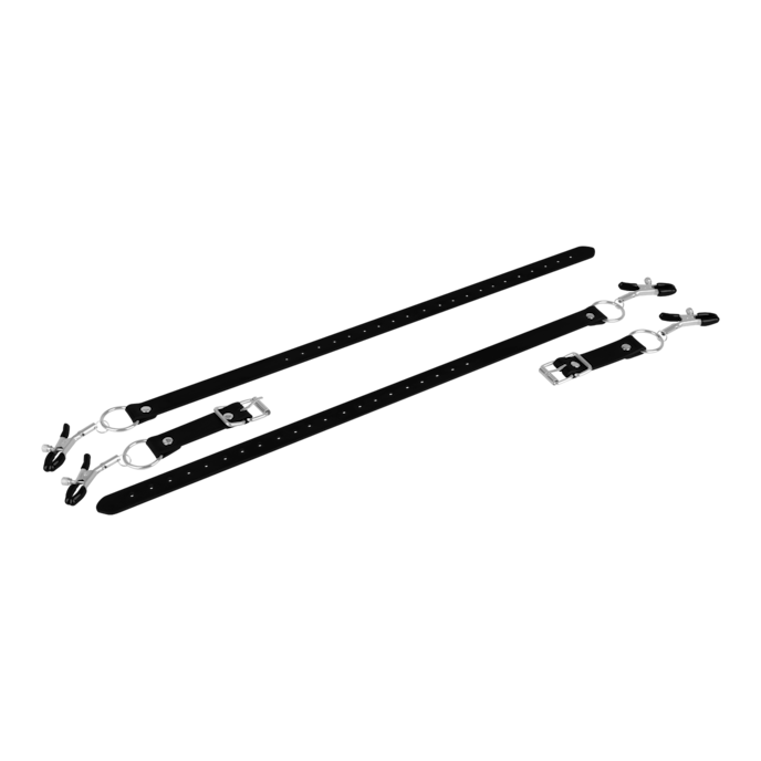 sensuele-schaamlippenklemmen-Zilver-Zwart-7