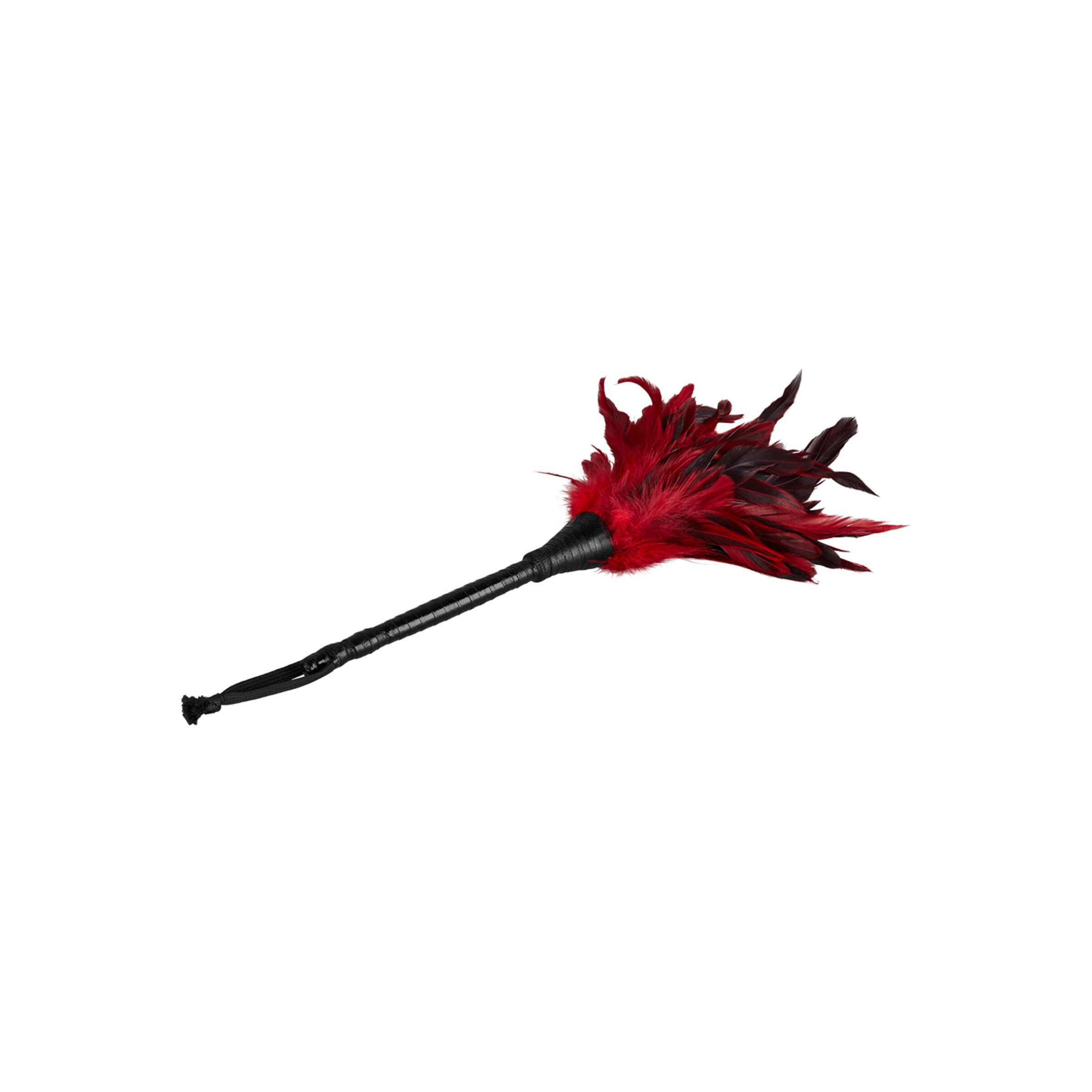 frisky-feather-duster-Bes-Zwart-3