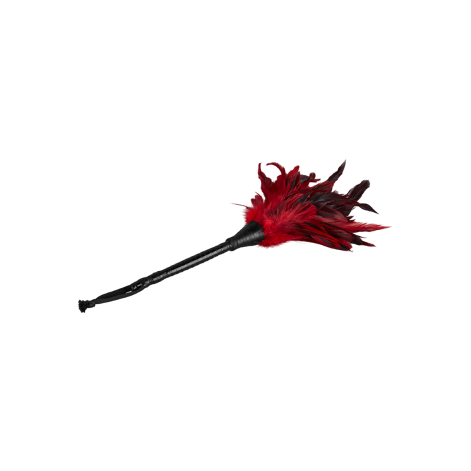 frisky-feather-duster-Schwarz-Zilver-3