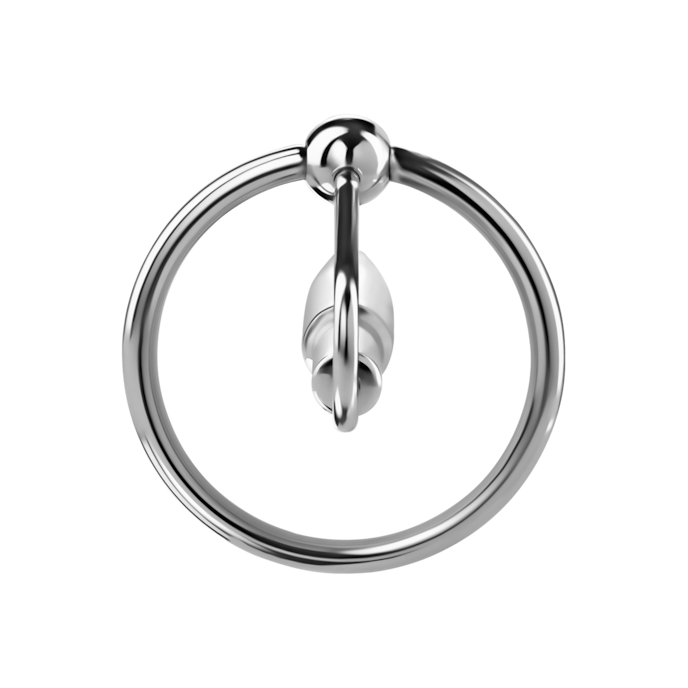 penisplug-met-eikelring-5-8-cm-Silber-3