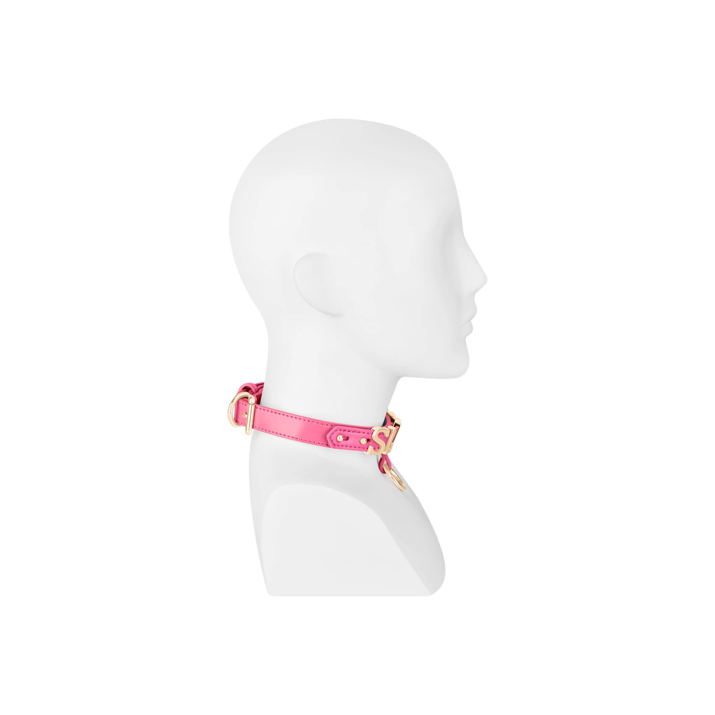 slave[nbhy]halsband-in-leerlook-Goud-Pink-2