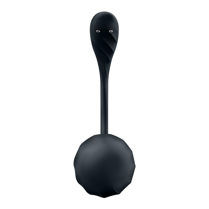 satisfyer-ribbed-petal-connect-app-11-cm-Schwarz-6