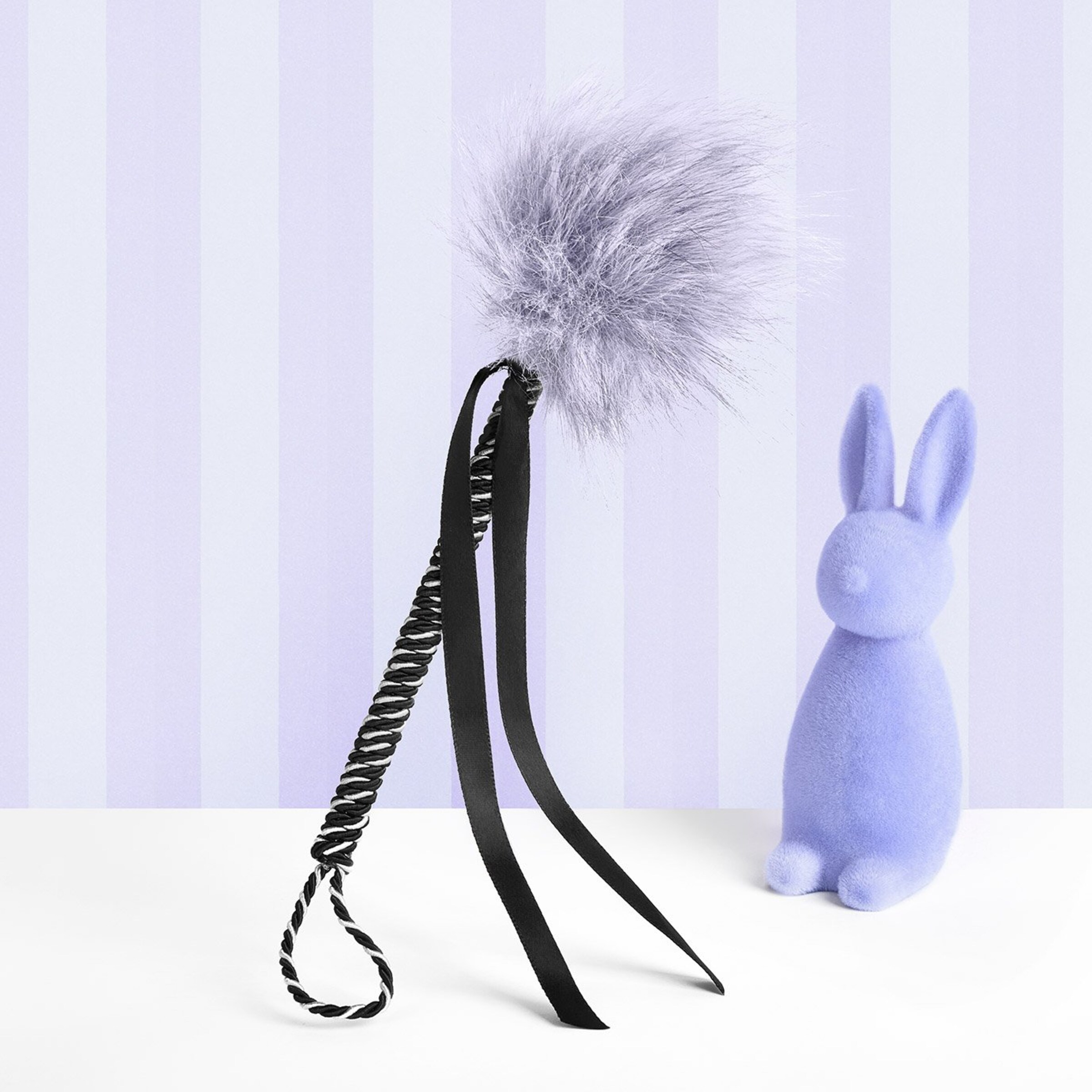 éveilleur-de-plumes-élégant-Blanc-Noir-Violet-2