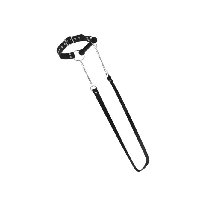 bâillon-avec-laisse-Argent-Noir-1