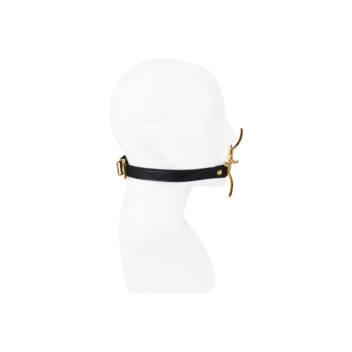 bâillon-avec-écarteur-de-bouche-Noir-Or-2