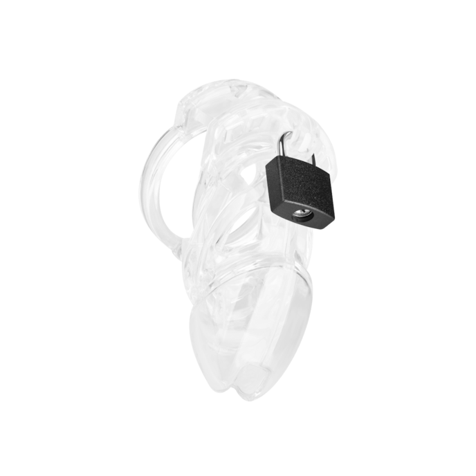 chastity-standard-Transparant-1