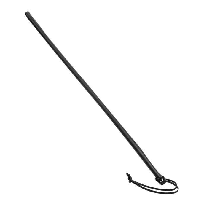 fine-cravache-Noir-1